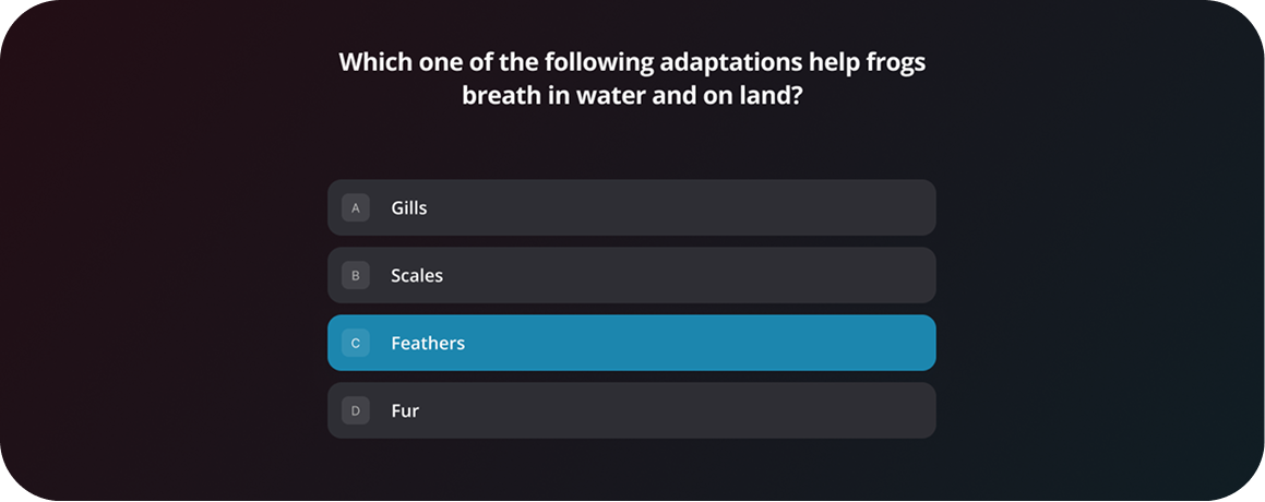 Quizzes preview